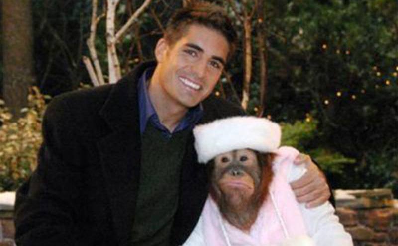 A promotional portrait of the orange ape and Luis.