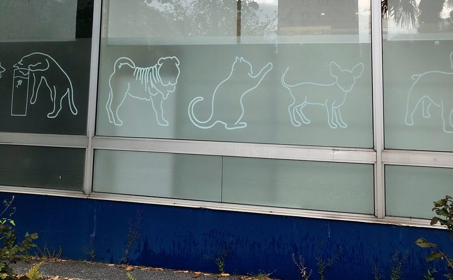 An exterior shot of a veterinary clinic.