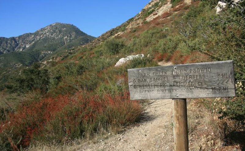 A photo from San Gabriel Mountains.