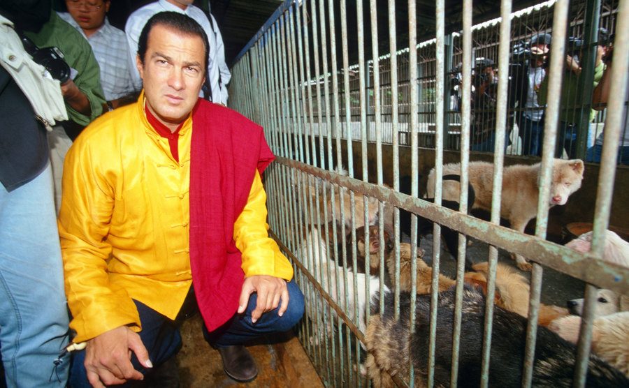 Steven Seagal visits a kennel in Taipei.