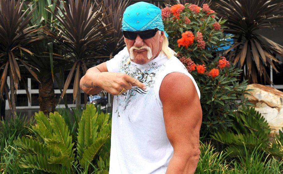 Hulk poses for a portrait.