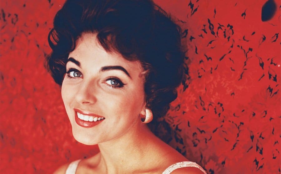 A studio portrait of Joan Collins.