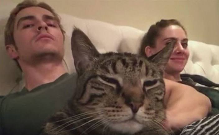 A selfie of Dave, Alison, and their cat in bed.