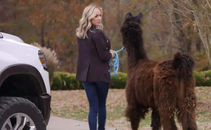 A still of Cavallari walking her llama.