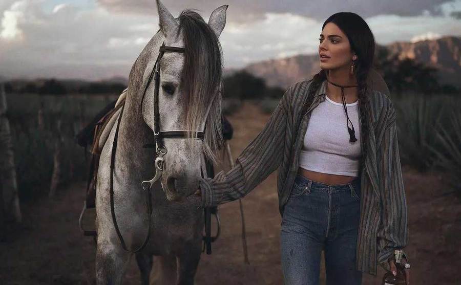 Kendall walks with a horse through an agave field.