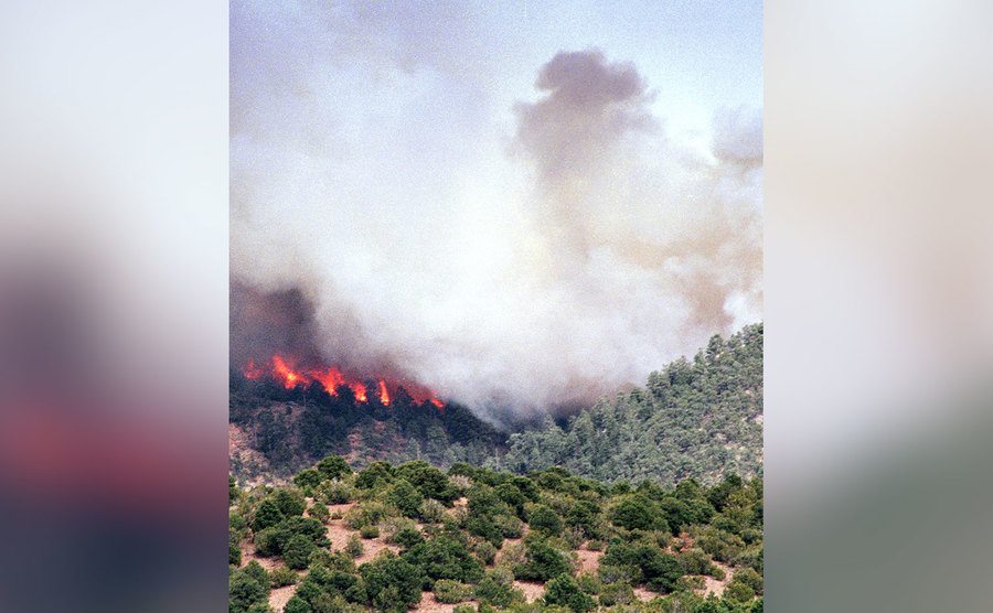 A wildfire moves along the Borrego Mesa in the Santa Fe National Forest. 