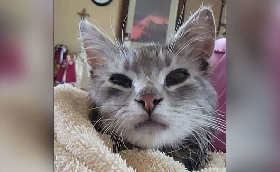 Emerald after his return home. 