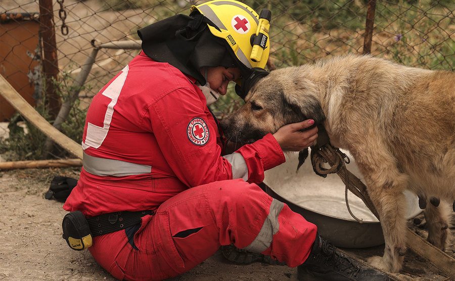 A firefighter finds a dog. 