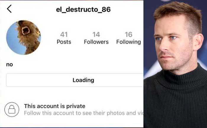 The fake account / Armie Hammer.