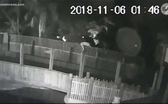 A man is climbing over the fence into the crocodile farm.