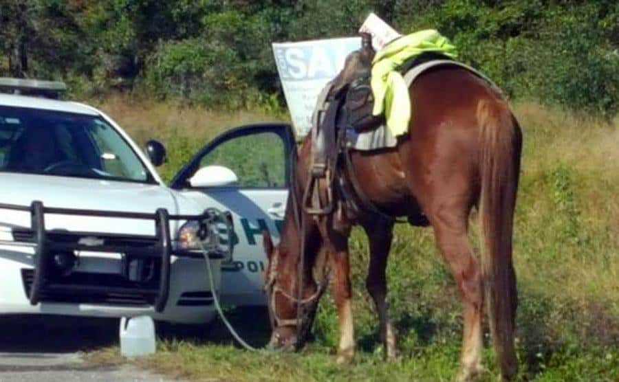 Byrne’s horse is pulled over by police.