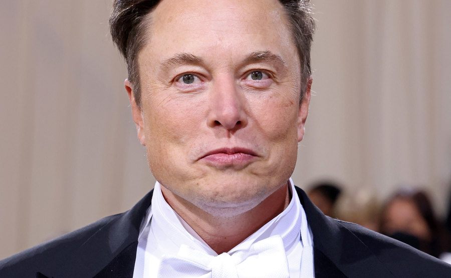 Musk poses for the press.