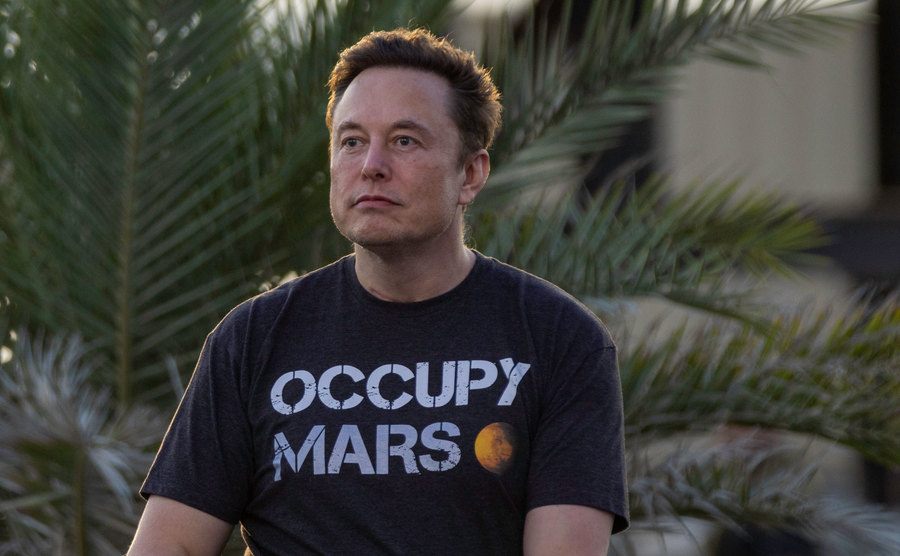 A picture of Musk.