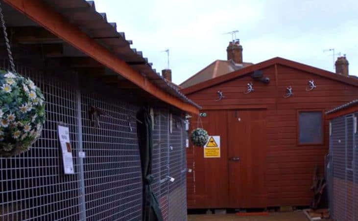 Geoff’s backyard is being turned into a sanctuary.