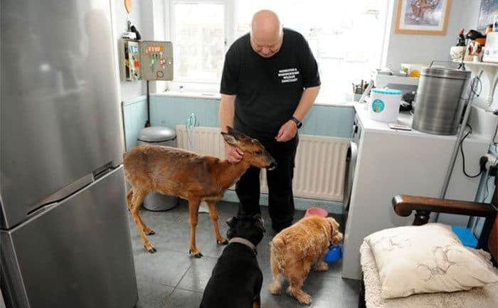 Geoff Grewcock feeds some of the animals staying at his sanctuary.