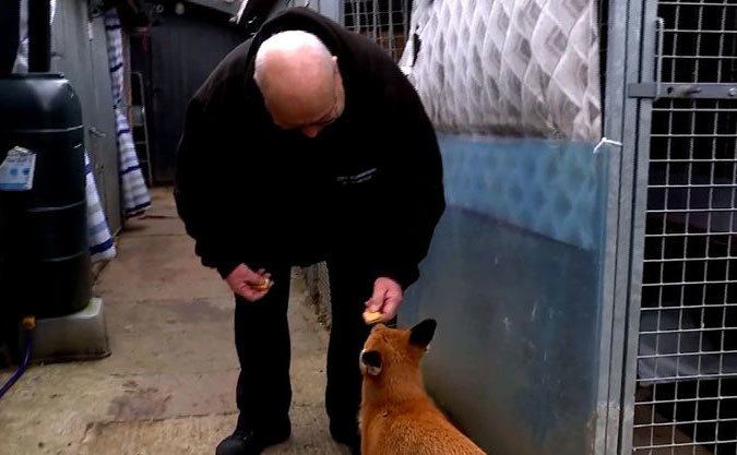 Geoff Grewcock is feeding Woody.