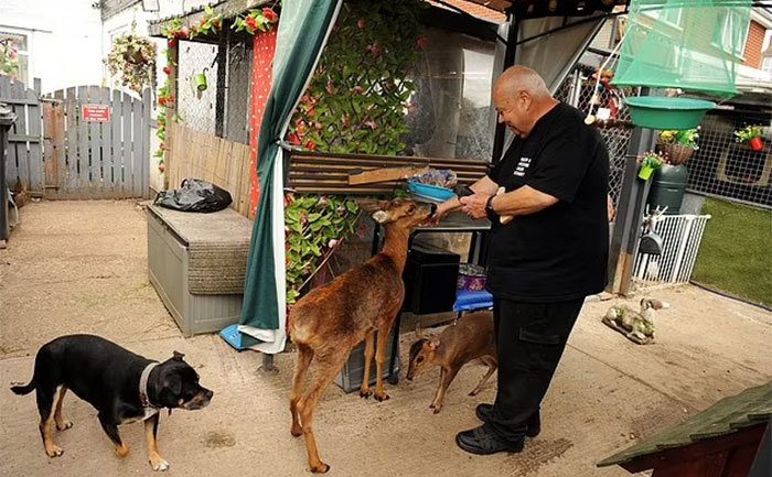 Geoff Grewcock takes care of the animals in his backyard.