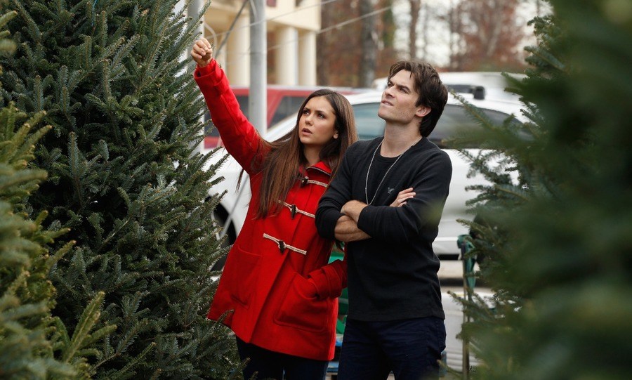 Nina Dobrev and Ian Somerhalder