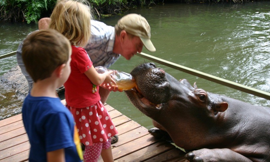 Feeding Jessica