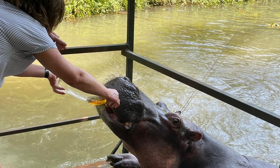 Feeding Jessica