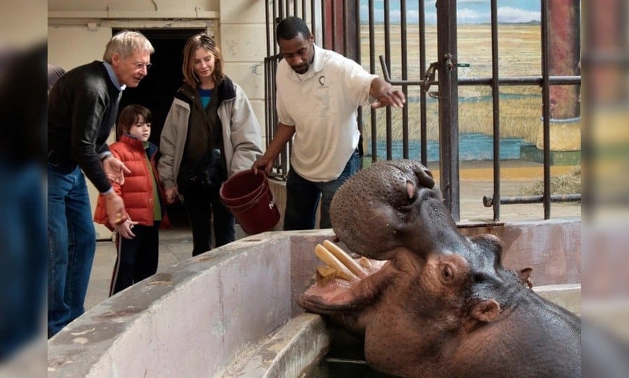 Visiting Jessica the Hippo